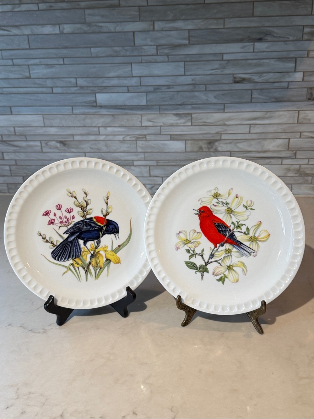 Set of 2 Mottahedeh  Portugal Bird Aviary Plates